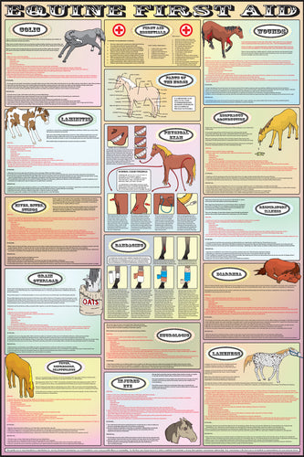 Large Horse First Aid Poster